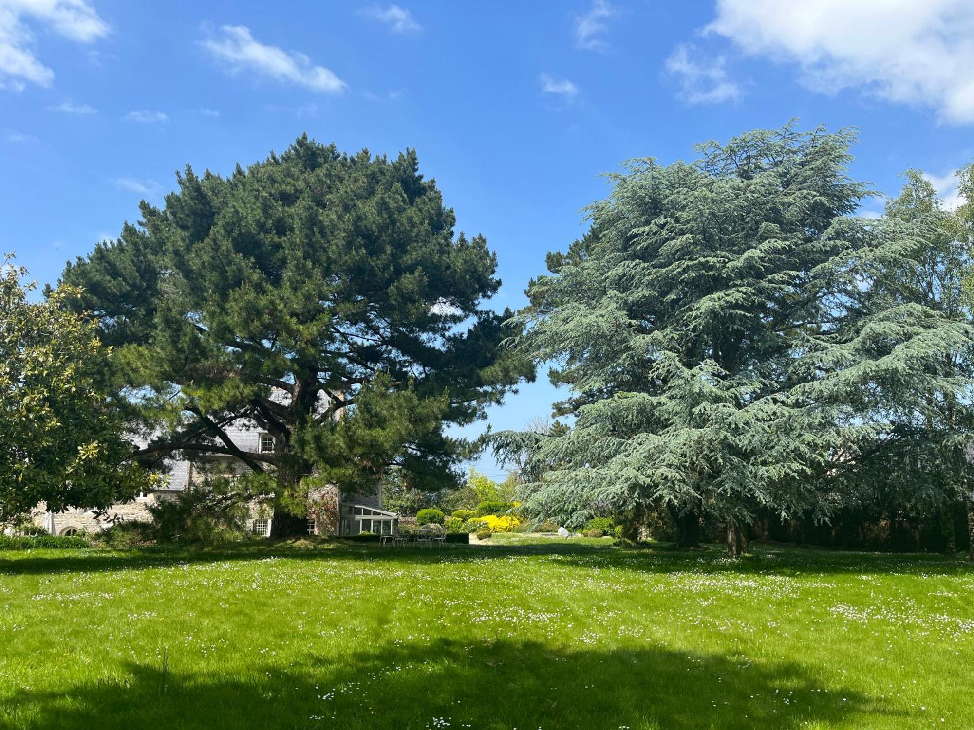 Manoir Des Bords De Rance Bed and Breakfast Plouër-sur-Rance Exteriör bild