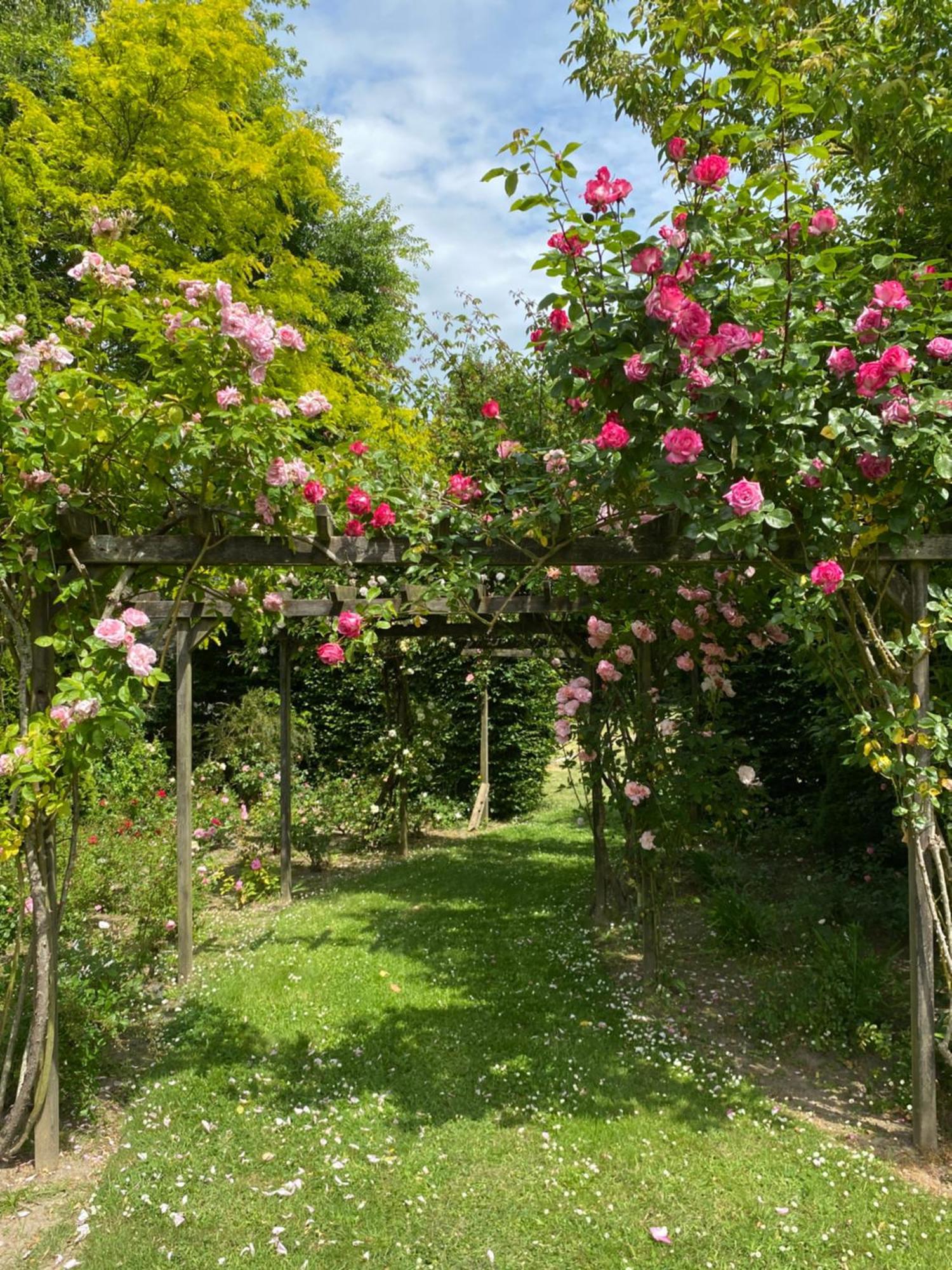 Manoir Des Bords De Rance Bed and Breakfast Plouër-sur-Rance Exteriör bild