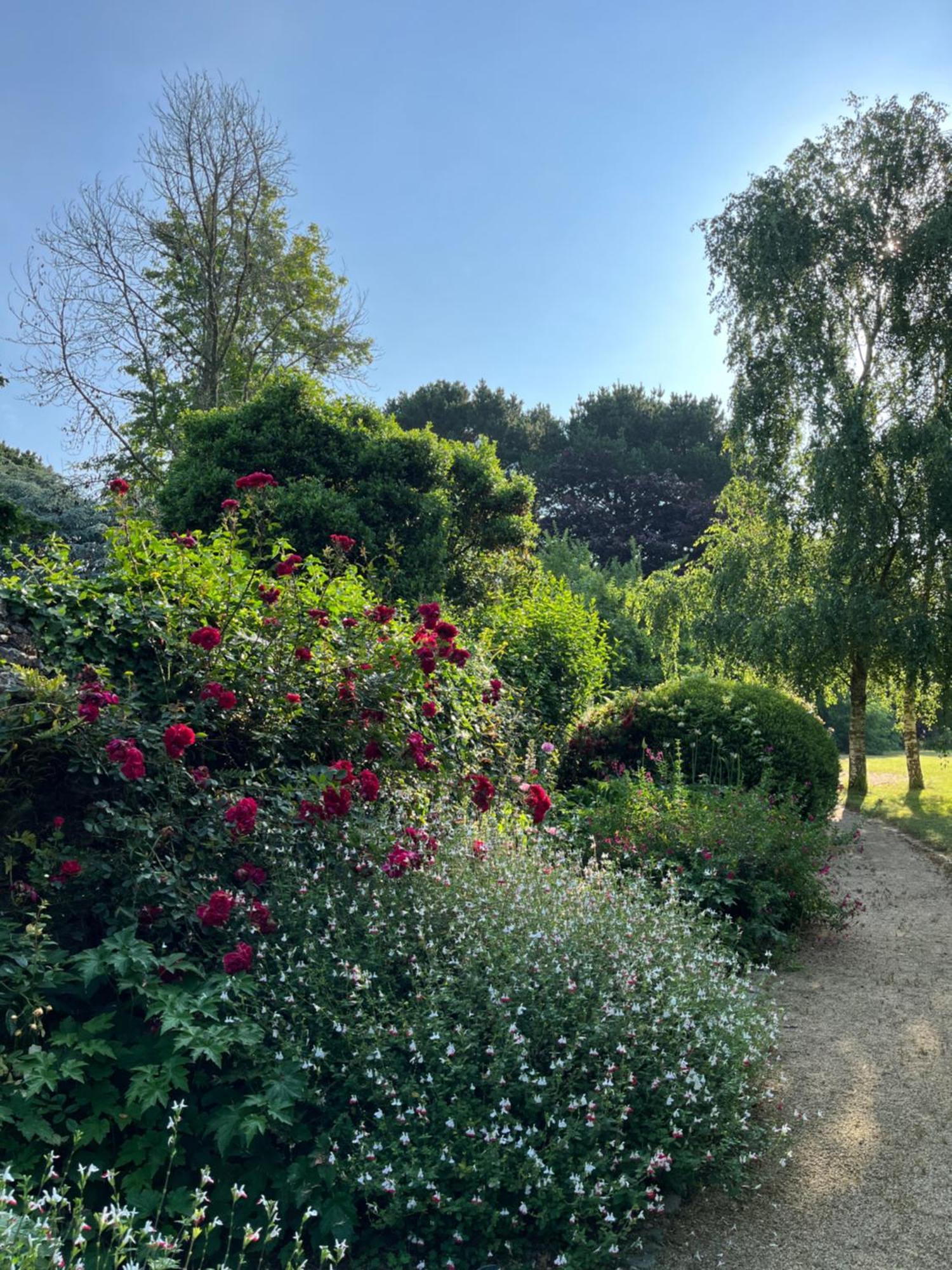 Manoir Des Bords De Rance Bed and Breakfast Plouër-sur-Rance Exteriör bild